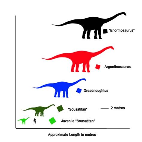 August 15, 2016 | Everything Dinosaur Blog