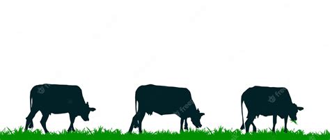 Premium Vector | Cow silhouette or cow grazing on the meadow and eating ...