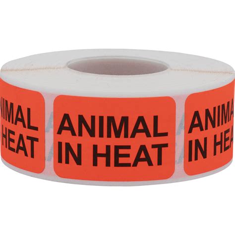 Animal In Heat Veterinarian Labels - InStockLabels.com