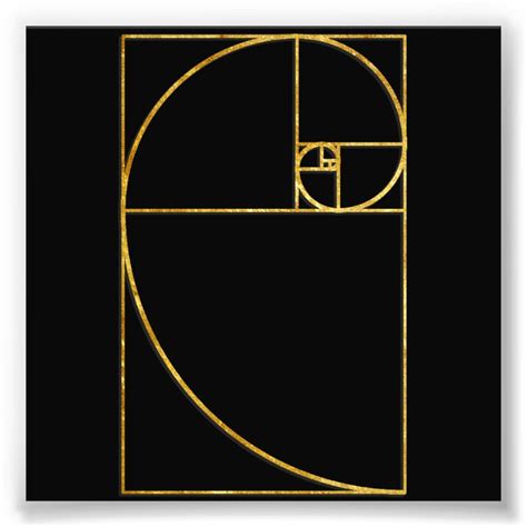 Fibonacci Spiral Golden Ratio