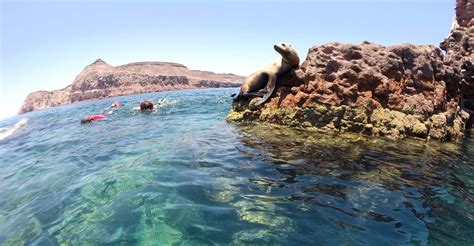 Snorkeling Espíritu Santo