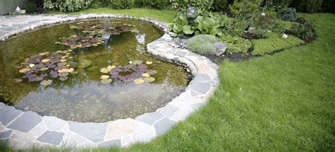 Pond Maintenance - Complete Aquatics