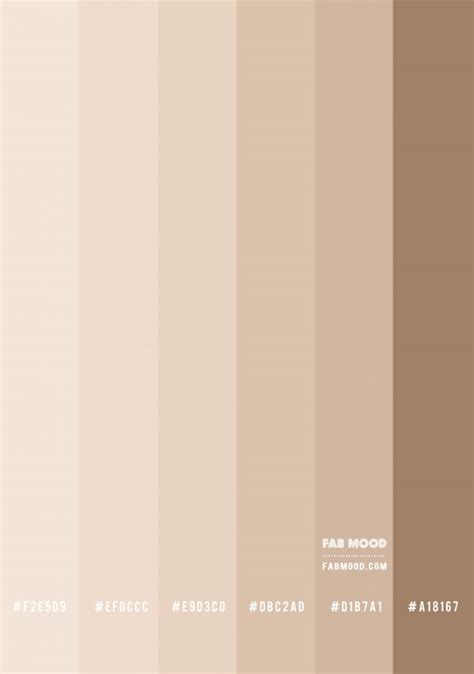 Beige Color Combo | What colours that go with beige | color combination