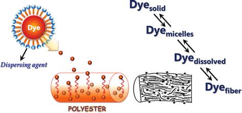 Mechanism for dyeing of polyester with disperse dye and dispersing ...