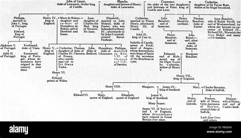 1595 TABLE OF THE PRINCIPAL DESCENDANTS OF JOHN OF GAUNT Stock Photo ...