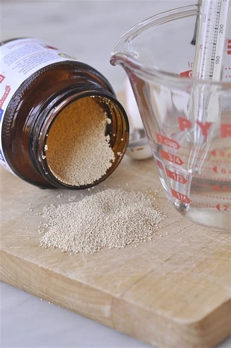 How to Proof Yeast | Your Homebased Mom | Proofing Yeast