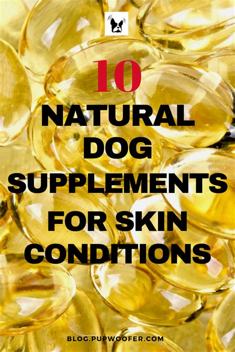 Top 10 Natural Dog Supplements For Skin Conditions - Pup Talk | Natural ...