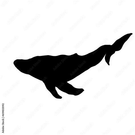 Blue whale aquatic mammal silhouette. Cartoon vector graphics. Stock ...