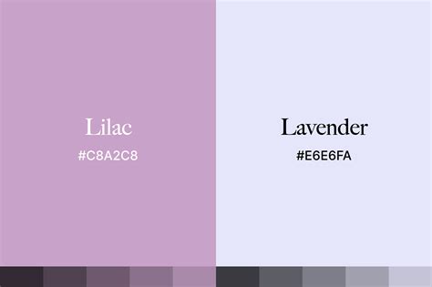 Lilac vs Lavender: Differences Between Colors – CreativeBooster