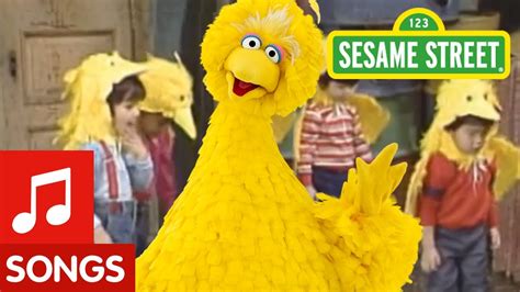 Sesame Street: Big Bird Sings You Can Be A Birdketeer - YouTube