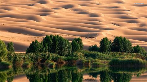 Desert Oasis Wallpapers - Wallpaper Cave