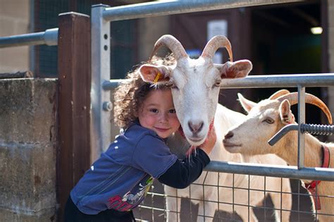 13 pictures of humans hugging animals that will make you feel better