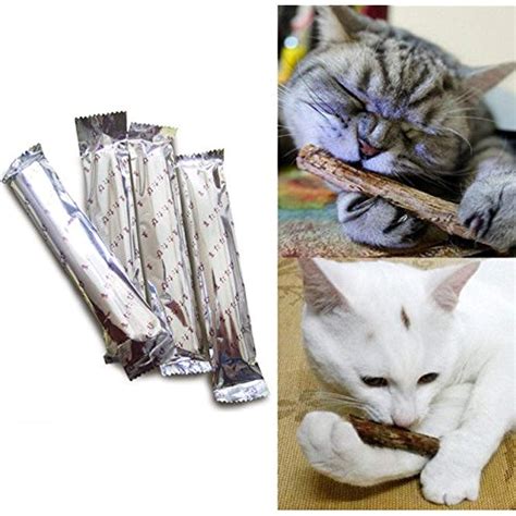 HOT! 25pcs Cat Cleaning Teeth Pure Natural Catnip Pet Cat Molar ...