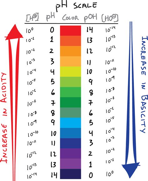 Ph Scale With Pictures