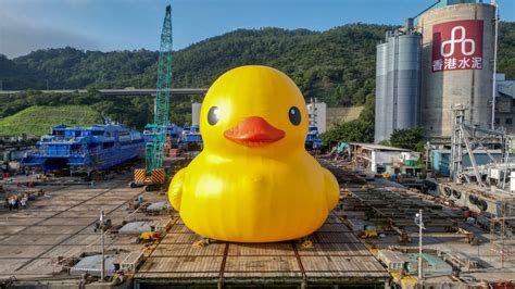 Hong Kong’s favourite giant rubber duck is returning to Victoria ...