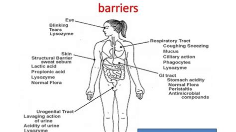 Anatomical and Physico-chemical barriers of immune system - Online ...