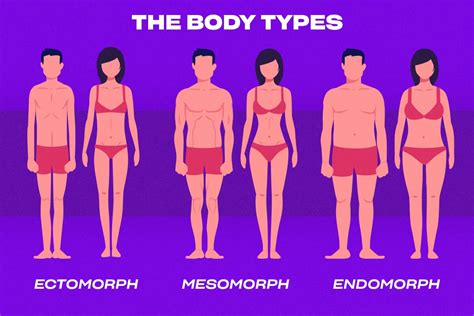 3 Main Male Body Types & How to Tell Them Apart (2022)