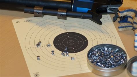 Learn More About 7 Different Types of Airgun Pellets