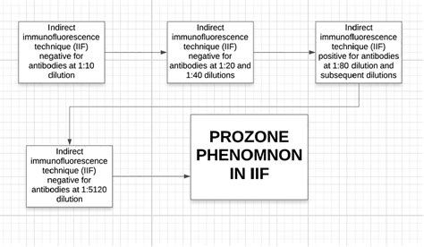 Prozone phenomenon observed in indirect immunofluorescence assay by ...