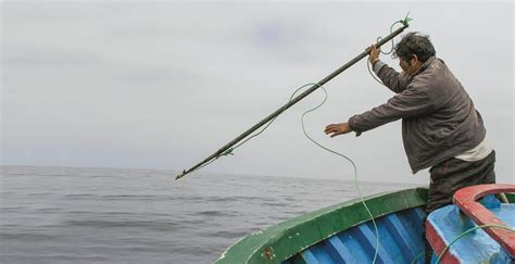 The Dolphin hunters…. - Ibiene Magazine