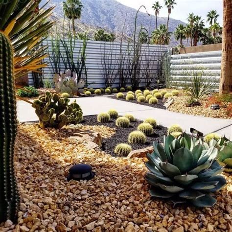 Top 70 Best Desert Landscaping Ideas - Drought Tolerant Plants