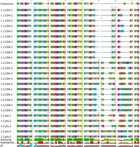 Amino acid sequence; Protein Structure, Primary