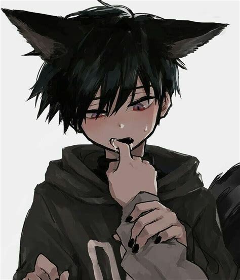 Pin by tigas pit on Anime?¿ | Anime cat boy, Anime fox boy, Cute anime boy