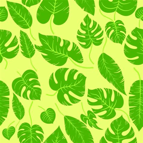 Hand drawn simple leaf monstera and palm leaves. Seamless vector ...