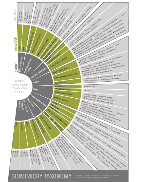 A visual representation of the taxonomy of functions used to organize ...