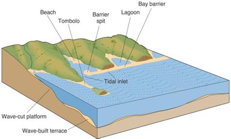 Marine Landforms and Cycle of Erosion | Coastlines - PMF IAS