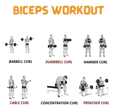 Biceps Workout At Gym | Biceps workout, Bicep and tricep workout ...