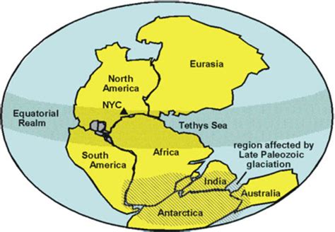 History Of The Earth timeline | Timetoast timelines