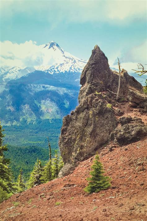 This Easy Hike Offers Oregon’s Best Mt Hood Views | Portland Monthly