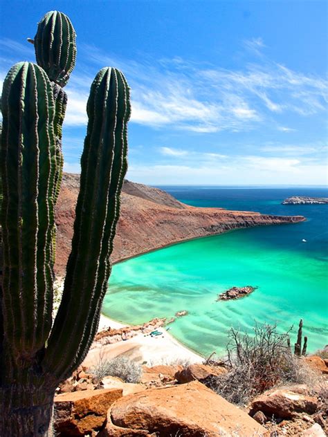 Espiritu Santo Island Expedition - What To Do In Los Cabos