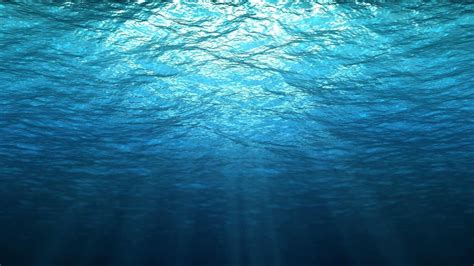 Undersea Wallpapers - 4k, HD Undersea Backgrounds on WallpaperBat