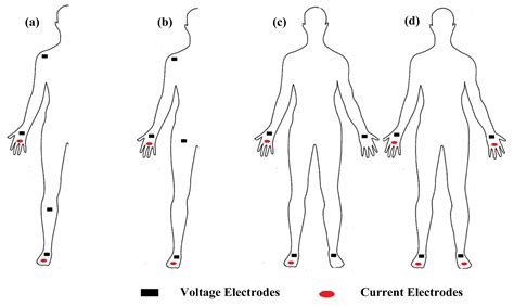 Sensors | Free Full-Text | The Theory and Fundamentals of Bioimpedance ...