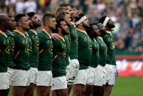 Nienaber names latest Springbok squad - Super Rugby Pacific