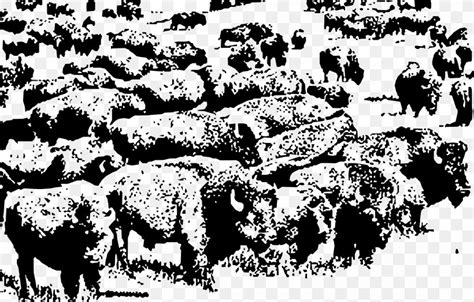 Buffalo Herd American Bison Clip Art, PNG, 2392x1530px, Buffalo ...