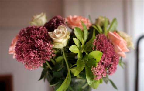 sedum ‘autumn joy’ A seasonal floral arrangement to bring some of ...