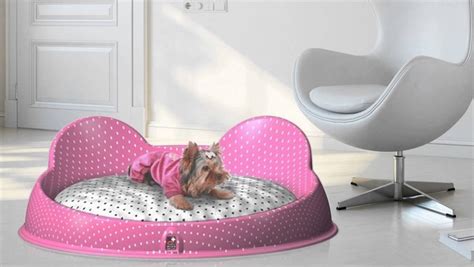 Fancy dog beds designs for the comfort of your beloved pet