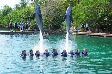 Cancun Swim with Dolphins| Riviera Maya Dolphin Swim | Mexico ...