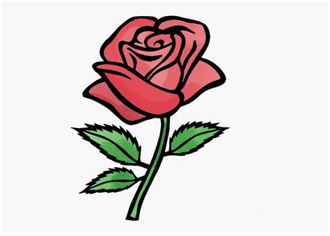 Rose Cartoon Drawing Free Download Clip Art On Png - Red Rose Drawing ...