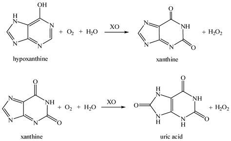 Chemosensors | Free Full-Text | Efficient Oxidase Biosensors Based on ...