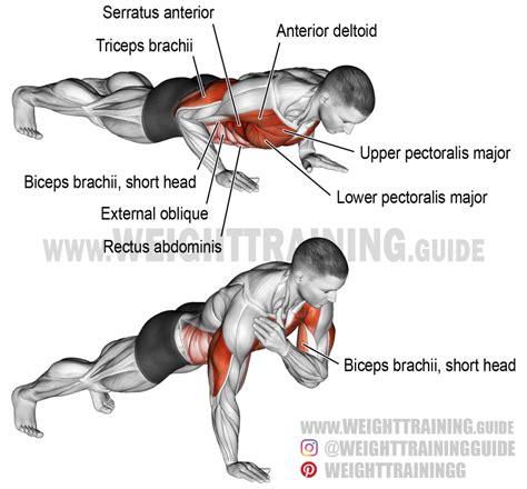 Shoulder tap push-up exercise guide and video | Weight Training Guide ...