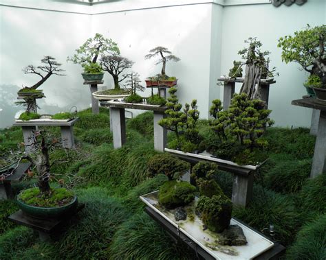 Best Bonsai Gardens : Bonsai