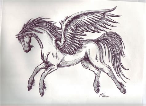 Pegasus Sketch 3 by Spiritwings on DeviantArt