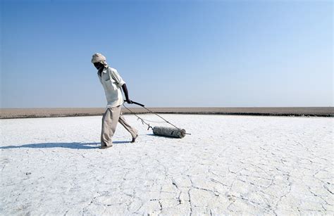 The Salt Farmers of the Rann of Kutch | The Diplomat