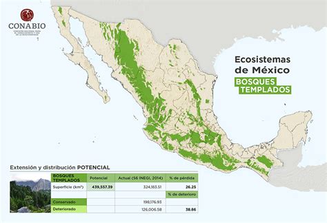 ESTADOS DE MÉXICO DONDE SE LOCALIZAN LOS BOSQUES TEMPLADOS