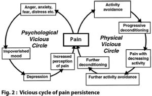 Breaking the Pain Cycle - AMS Clinic