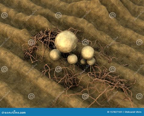 Mycelium, fungus spores stock illustration. Illustration of landscape ...